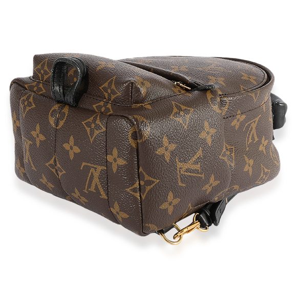 Louis Vuitton Monogram Canvas Palm Springs Mini Backpack - Picture 5 of 7